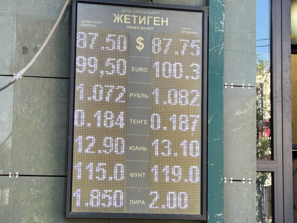 Сүрөт: Kaktus.media