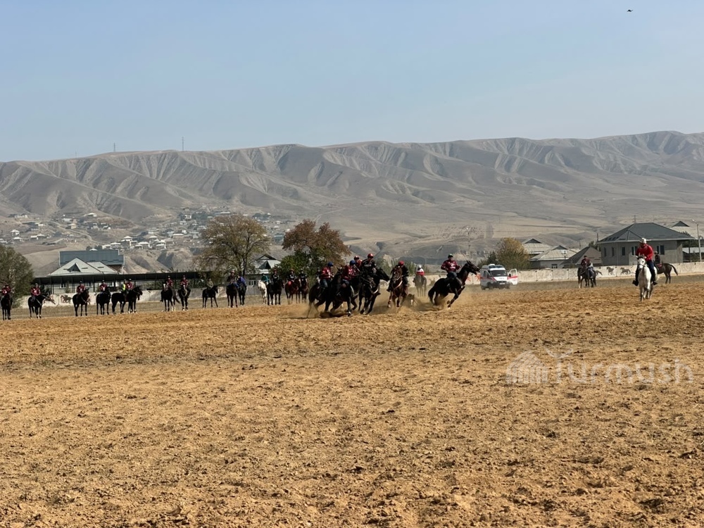 Фото: Turmush