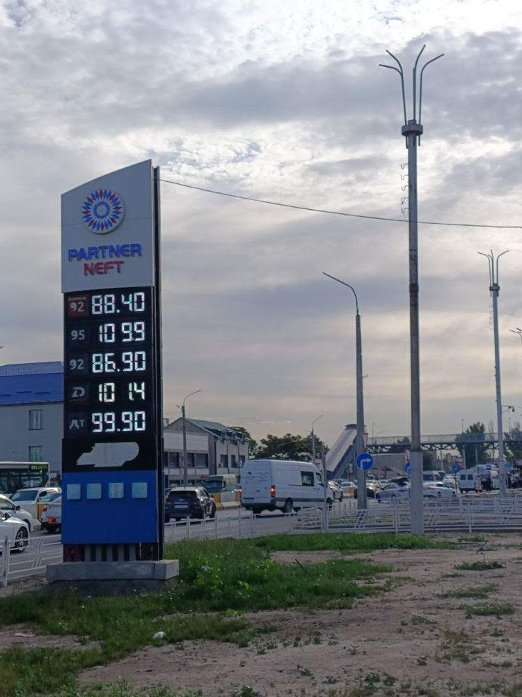 Сүрөт: Kaktus.media