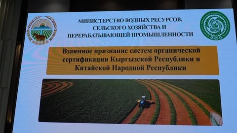 Фото: Кабар (рус.)