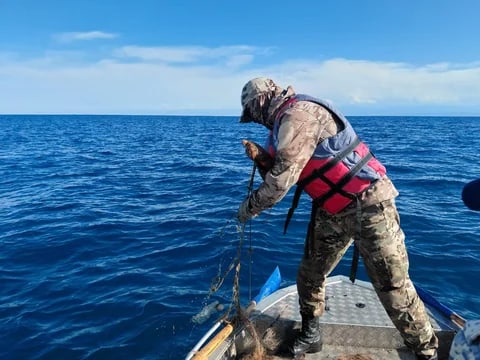 Фото: Кабар (рус.)