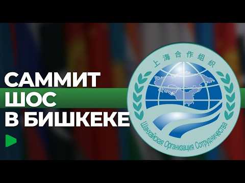 Фото: Номад ТВ (YouTube)