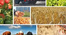 Форум «Агродиалог–2026» состоится в Бишкеке