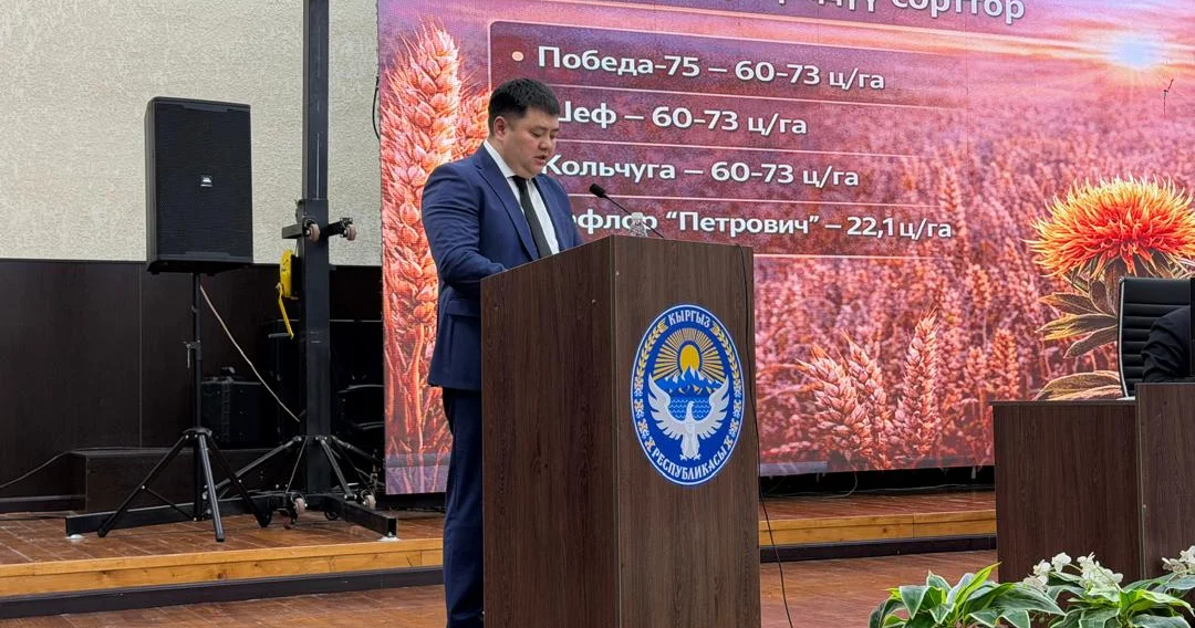 В Чуйской области намечены посевные работы на почти 419 тысячах гектаров земли